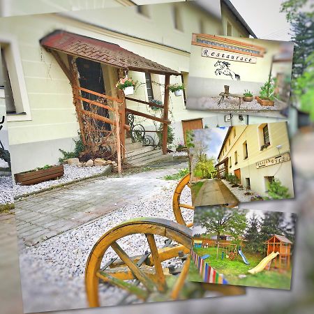 Penzion Pegas Depoltovice Nová Role エクステリア 写真