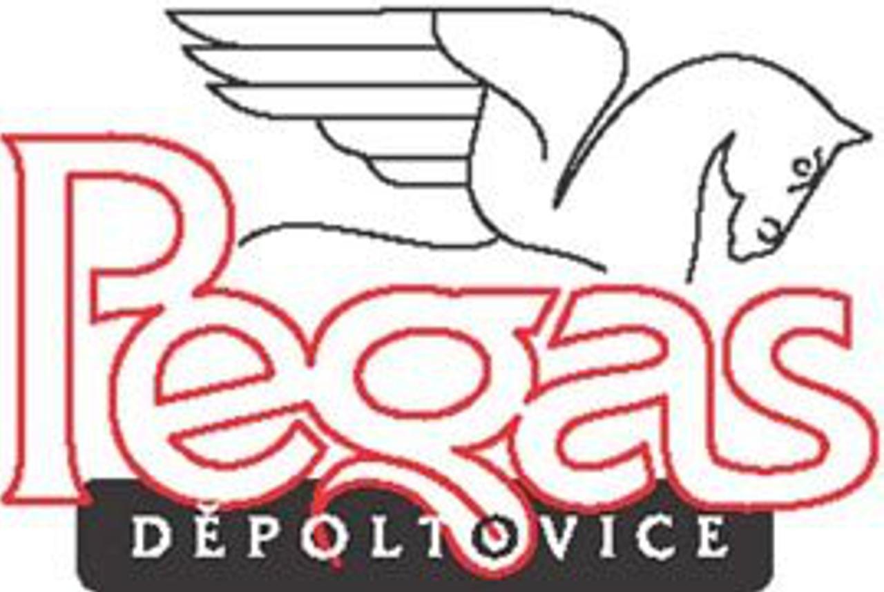 Penzion Pegas Depoltovice Nová Role エクステリア 写真