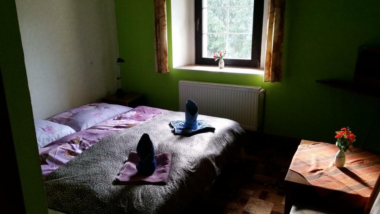 Penzion Pegas Depoltovice Nová Role エクステリア 写真