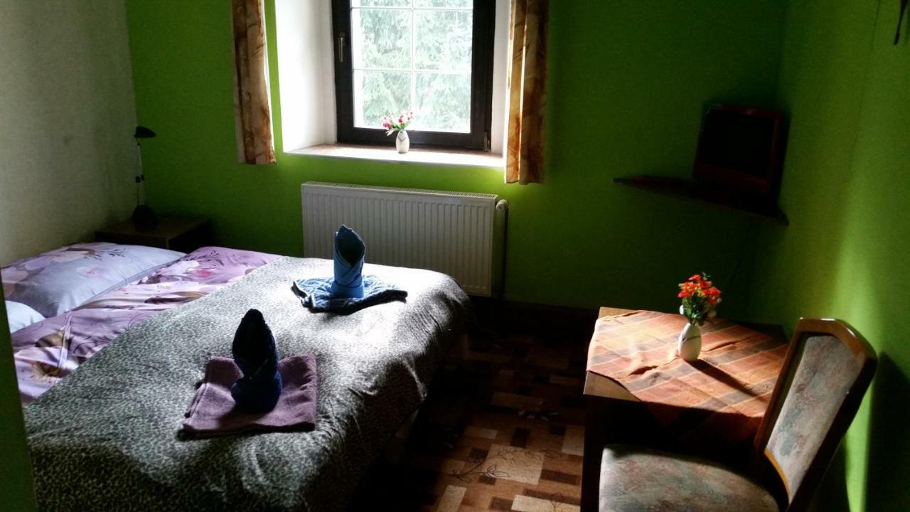 Penzion Pegas Depoltovice Nová Role エクステリア 写真