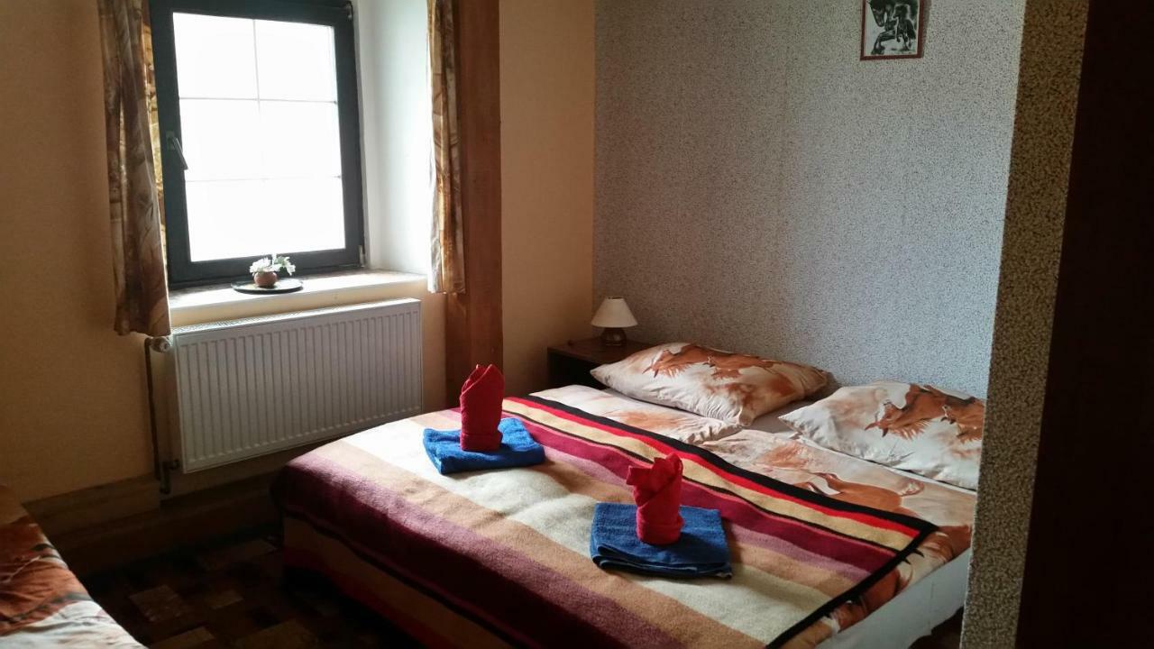 Penzion Pegas Depoltovice Nová Role エクステリア 写真